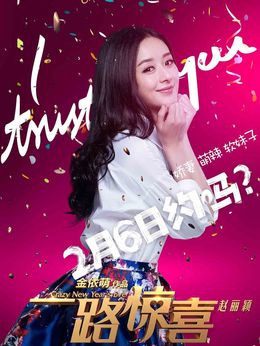 一路惊喜剧情介绍_纵横剧情网