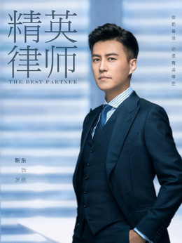 精英律师剧情介绍_纵横剧情网