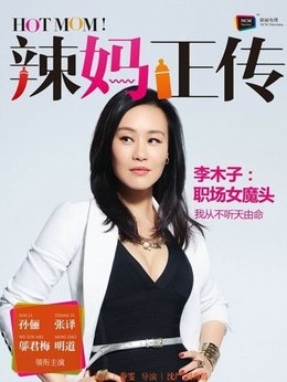 辣妈正传剧情介绍_纵横剧情网