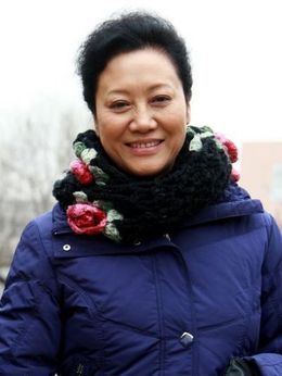 掌门女婿剧情介绍_纵横剧情网