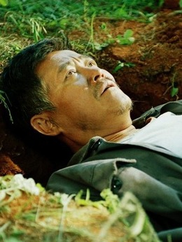 落叶归根剧情介绍_纵横剧情网