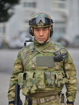我是特种兵之火凤凰剧情介绍_纵横剧情网