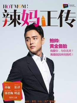 辣妈正传剧情介绍_纵横剧情网