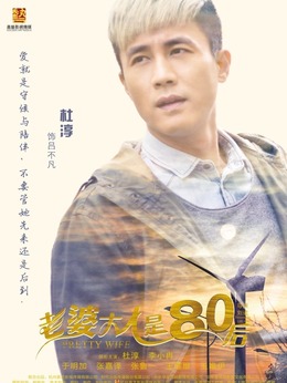 老婆大人是80后剧情介绍_纵横剧情网