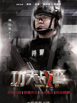 功夫战警剧情介绍_纵横剧情网