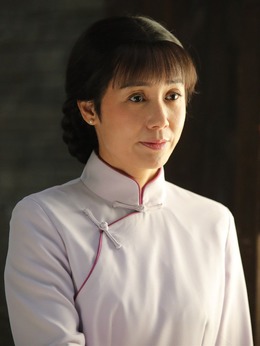 正阳门下小女人剧情介绍_纵横剧情网