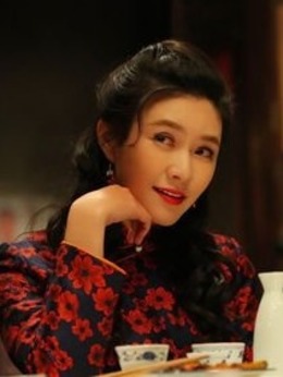 正阳门下小女人剧情介绍_纵横剧情网