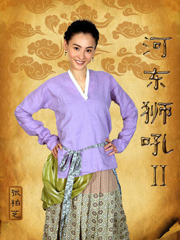 河东狮吼2剧情介绍_纵横剧情网