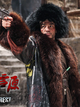 林海雪原剧情介绍_纵横剧情网