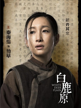 白鹿原剧情介绍_纵横剧情网