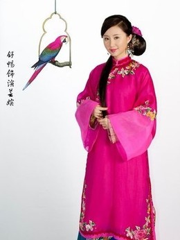 宫锁珠帘剧情介绍_纵横剧情网