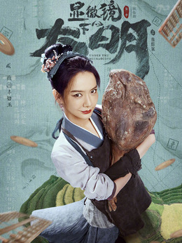 显微镜下的大明剧情介绍_纵横剧情网
