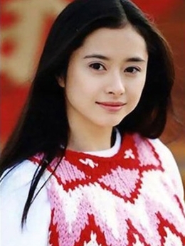 神捕十三娘剧情介绍_纵横剧情网