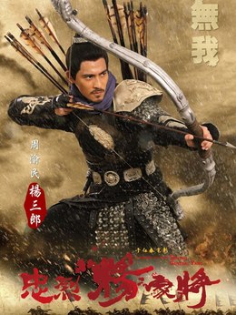 忠烈杨家将剧情介绍_纵横剧情网