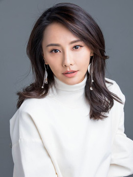 换子成龙剧情介绍_纵横剧情网