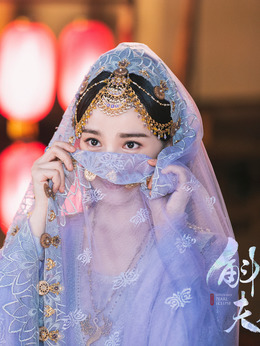 斛珠夫人剧情介绍_纵横剧情网