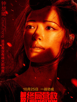 解放·终局营救剧情介绍_纵横剧情网