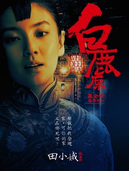 白鹿原剧情介绍_纵横剧情网