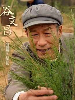 谷文昌剧情介绍_纵横剧情网