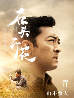 石头开花剧情介绍_纵横剧情网
