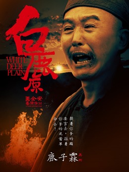 白鹿原剧情介绍_纵横剧情网
