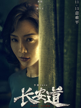 长安道剧情介绍_纵横剧情网