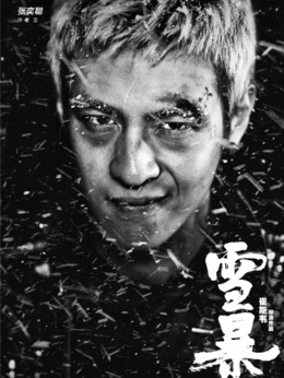 雪暴剧情介绍_纵横剧情网