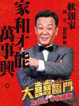 大喜临门剧情介绍_纵横剧情网