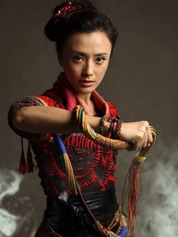 大唐女将樊梨花剧情介绍_纵横剧情网