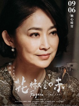 花椒之味剧情介绍_纵横剧情网