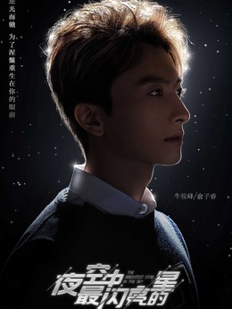 夜空中最闪亮的星剧情介绍_纵横剧情网