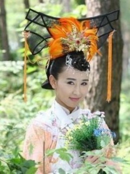 大清后宫之还君明珠剧情介绍_纵横剧情网