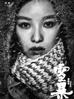 雪暴剧情介绍_纵横剧情网
