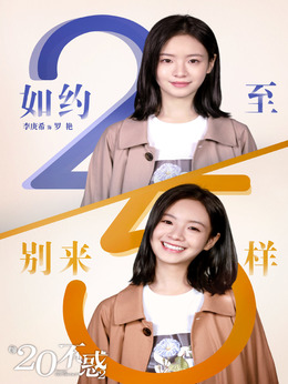 二十不惑2剧情介绍_纵横剧情网