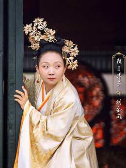 我叫刘金凤剧情介绍_纵横剧情网