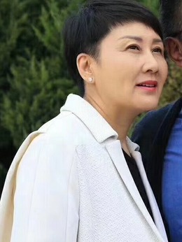 黄大年剧情介绍_纵横剧情网