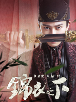 锦衣之下剧情介绍_纵横剧情网