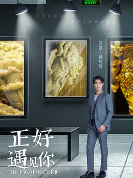 正好遇见你剧情介绍_纵横剧情网