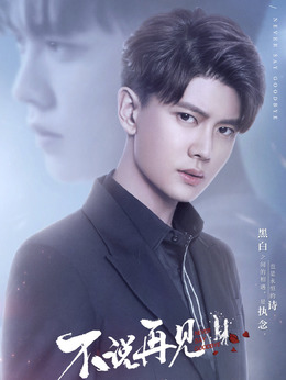 不说再见剧情介绍_纵横剧情网