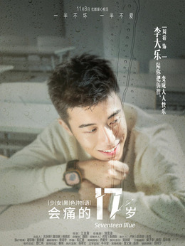 会痛的17岁剧情介绍_纵横剧情网
