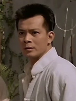 醉拳2剧情介绍_纵横剧情网
