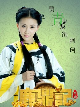 鹿鼎记剧情介绍_纵横剧情网