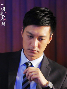 一树桃花开剧情介绍_纵横剧情网