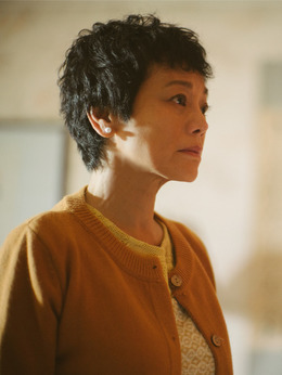 相爱相亲剧情介绍_纵横剧情网