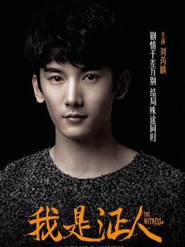 我是证人剧情介绍_纵横剧情网