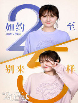 二十不惑2剧情介绍_纵横剧情网