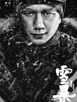 雪暴剧情介绍_纵横剧情网