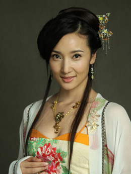 大唐女将樊梨花剧情介绍_纵横剧情网