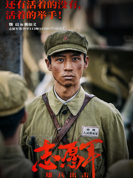 志愿军：雄兵出击剧情介绍_纵横剧情网