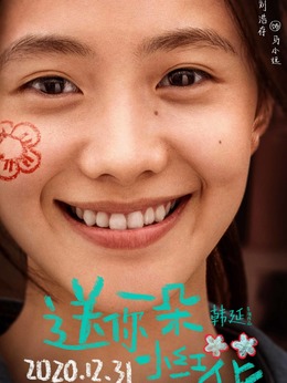 送你一朵小红花剧情介绍_纵横剧情网